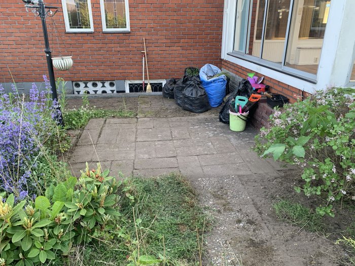 Trädgårdsarbete pågår med verktyg och säckar vid en stenlagd väg nära ett hus.