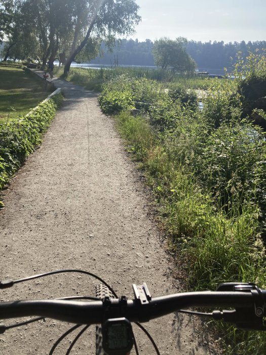 Cyklistperspektiv på en grusgång bredvid en sjö med grönska och träd i solljus.