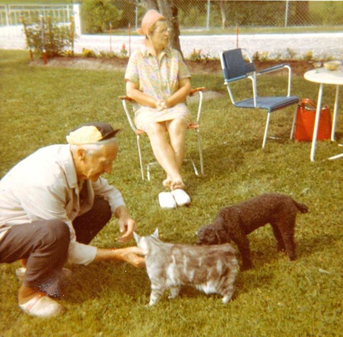 En äldre man matar en svanslös Manxkatt medan en äldre kvinna sitter i bakgrunden och en hund står bredvid, utomhus på 1970-talet.