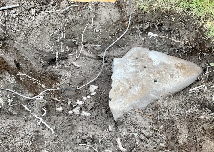 Stor sten som grävts fram i en grop med omgivande jord och rottrådar synliga.