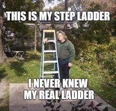Person står bredvid en stege utomhus med texten "This is my step ladder. I never knew my real ladder".