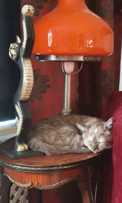 Grå katt som sover på ett antikt bord bredvid en kattfigur under en orange lampa.