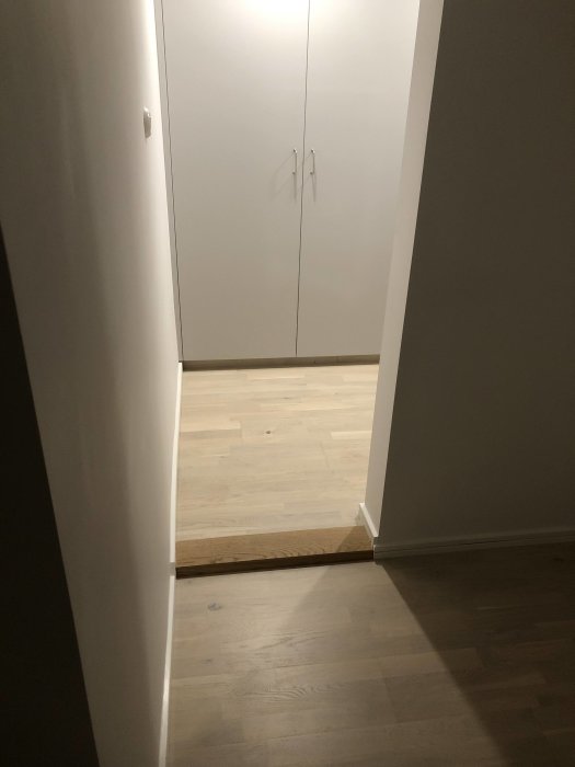 En korridor med trägolv som leder till en stängd dörr med tydliga övergångslister vid tröskeln.