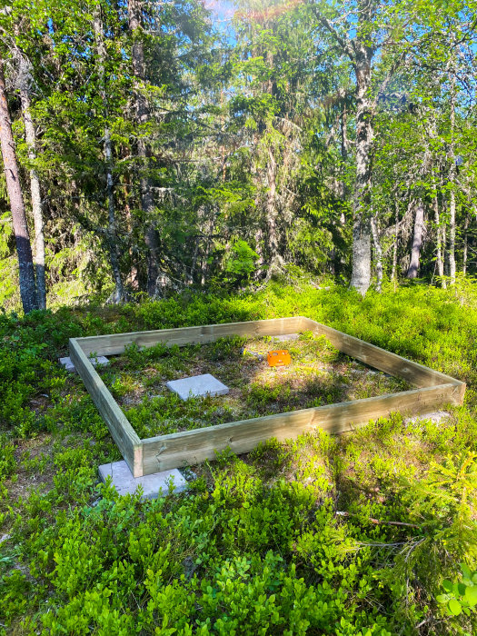 Trädäcksgrund för bastu i skogsmiljö med verktyg synliga på marken.