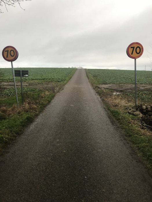 Smal väg omgiven av öppna fält med två hastighetsskyltar som visar 70 km/h.