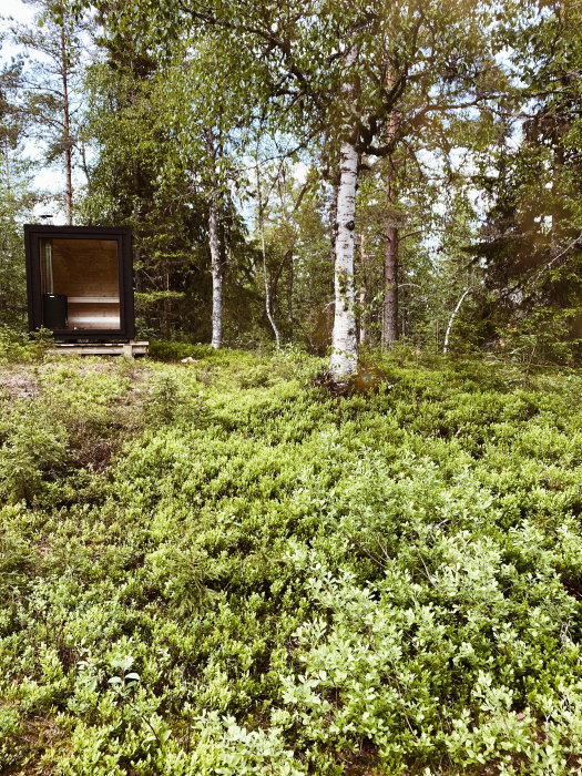 Kolsvart vedeldad bastukub med stort fönster placerad i skogsmiljö.