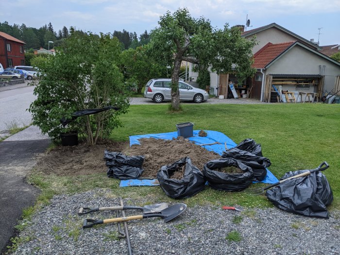 Trädgårdsarbete med uppgrävd jord, rötter i svarta säckar, spade och kratta på en gräsmatta.