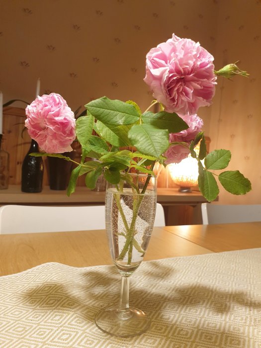 Rosa buskroskvistar i vas på bord framför suddig inredning.