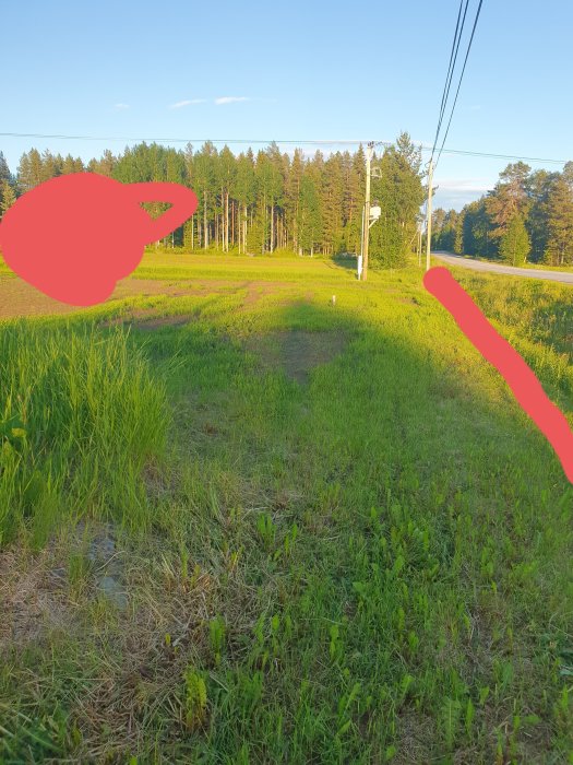 20210622_210840.jpg