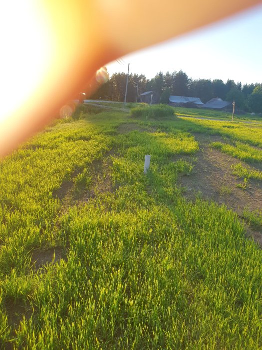 20210622_210916.jpg