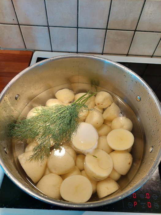 Stor skördad potatis halverad i durkslag med dill, redo att sköljas.