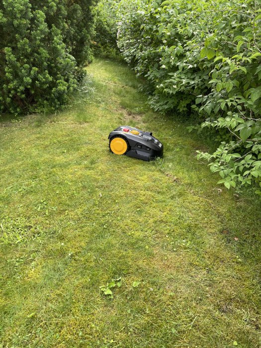 Robotgräsklippare fast i en sluttning med mossa och lågt gräs omgiven av buskar.