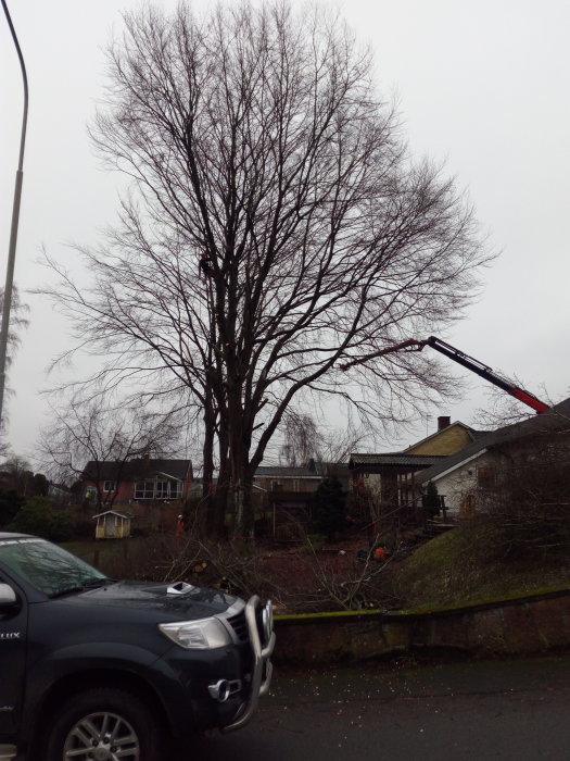 Kranbil med gripklo som håller i ett fällt träd bredvid en person, vid ett bostadsområde.