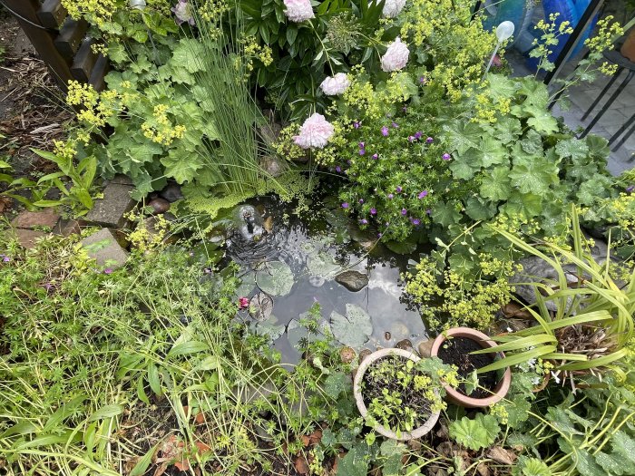 En liten damm omgiven av växter och blommor med en vattenpump som cirkulerar vattnet.