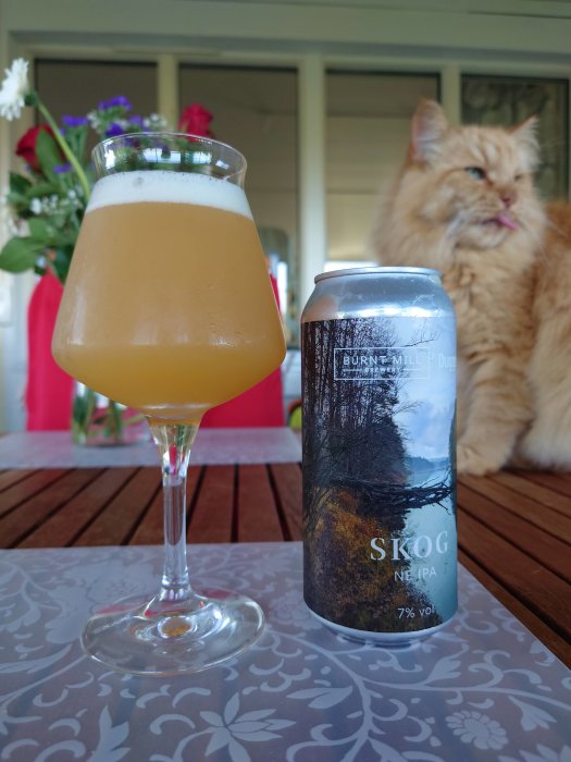 Ölglas med skum och en ölburk, Burnt Mill Brewery, på ett träbord bredvid en röd katt som slickar sig om munnen.