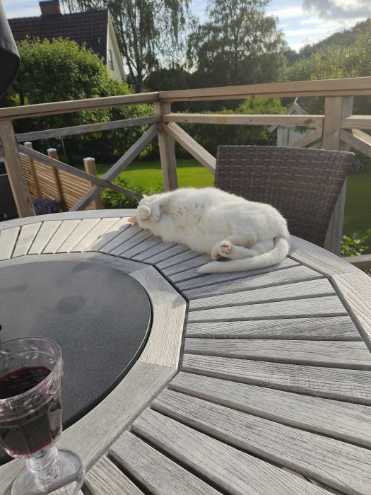 Vit katt som ligger upp och ner och slappnar av på ett träbord utomhus bredvid ett glas vin.