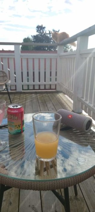 Balkong med katt på räcket, dryckesburk, glas juice och bärbar högtalare.