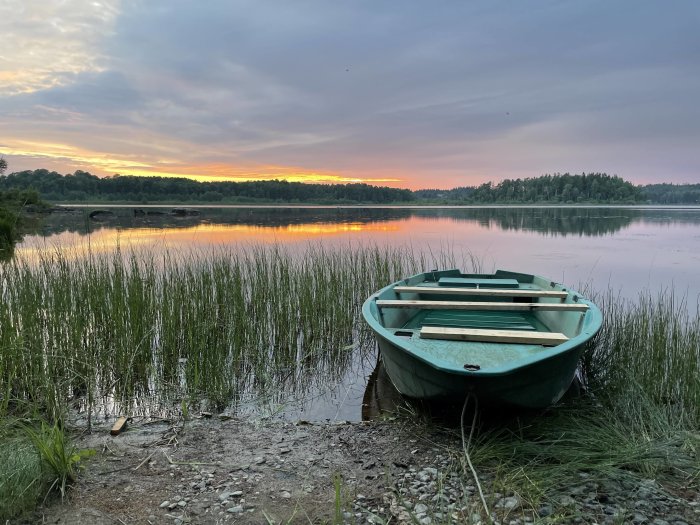 En grön roddbåt vid kanten av en lugn sjö med vass under en färgrik solnedgång.