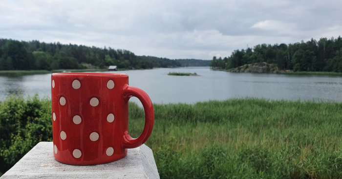 En röd kopp med vita prickar på en stenvägg framför en sjö och skog.