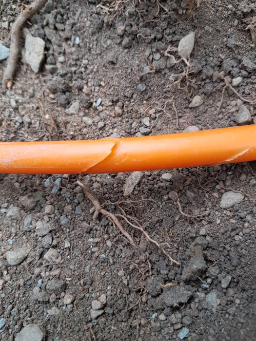 Skadad orange bredbandskabel med synlig inre skada liggande i jorden.