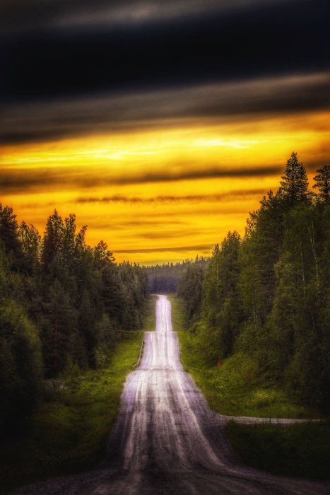 En dramatisk solnedgång över en slingrande grusväg omgiven av tät skog.