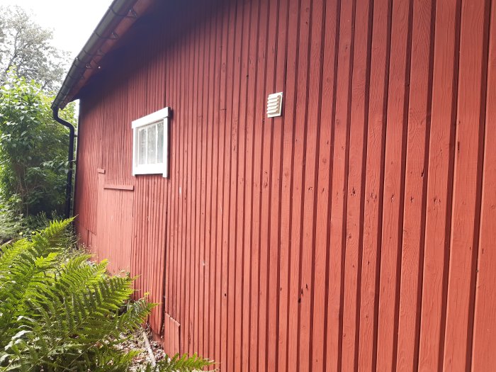 Rött träuthus med vit fönsterram och ventilation, omgivet av grönska, med synliga tecken på åldring och slitage.