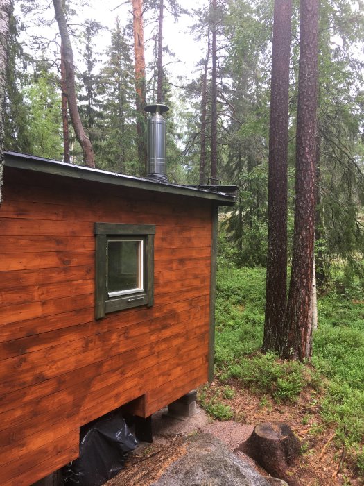 Ett brunnskyddat bastuhus med nyligen applicerat värmeskydd på skorstenen i en skogsmiljö.