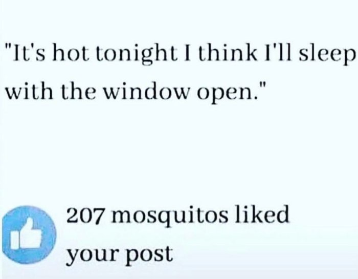 Textmem med citat "It's hot tonight I think I'll sleep with the window open" och skämtet att 207 myggor gillade inlägget.