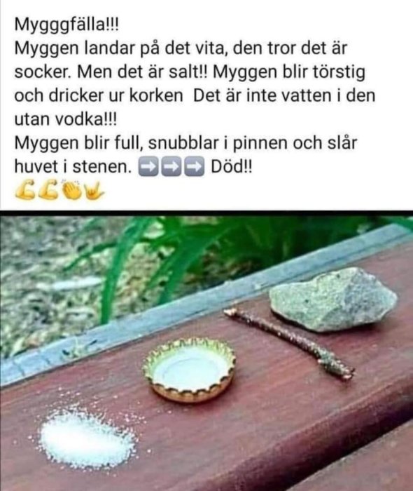 En hög av salt, en metallkork med vätska och en pinne på en träyta - en humoristisk fälla för myggor.