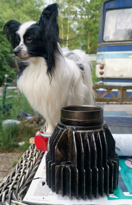 Svartvit hund bakom en gammal, smutsig cylinder med kolvring på en tidning, i en verkstadsmiljö.