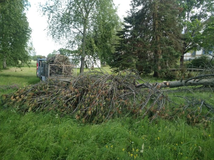 Släpvagn full med grenar bredvid en nedfallen tall på ett grönt fält.