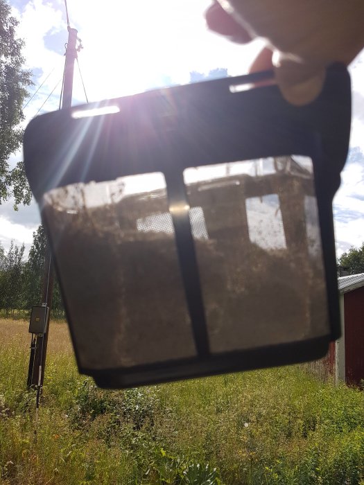 En hand håller upp en behållare med döda insekter framför solen i en trädgård.