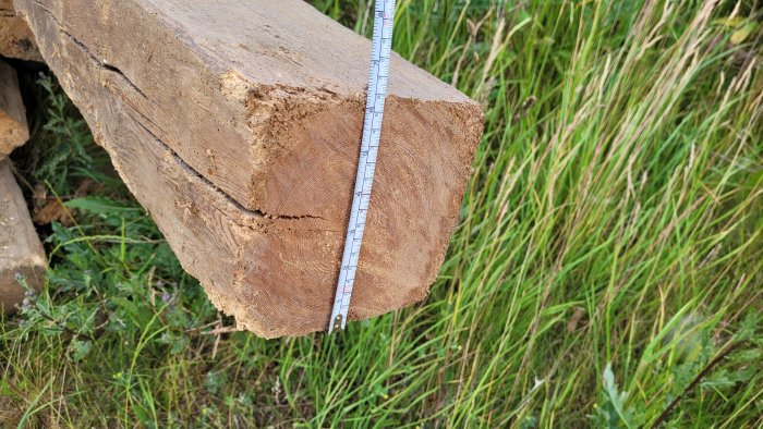 Måttband mot gammal tjock träregel för att mäta dess dimensioner mot naturlig bakgrund.