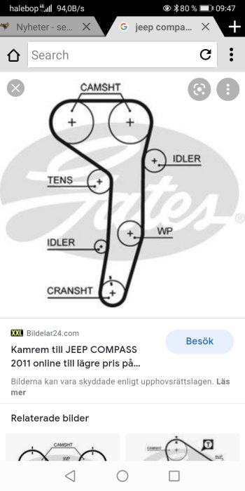 Diagram över remschema för kamrem på en JEEP COMPASS 2011.