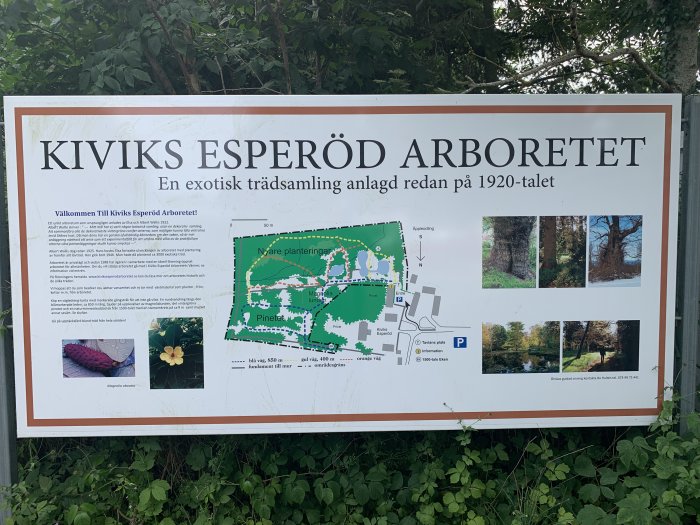 Informationskylt för Kiviks Esperöd Arboretet med karta och bilder på trädarter.