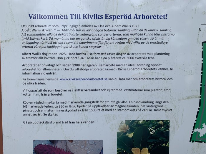 Informationskylt om Kiviks Esperöd Arboretet med beskrivning av arboretets historia och inbjudan att utforska träd från hela världen.