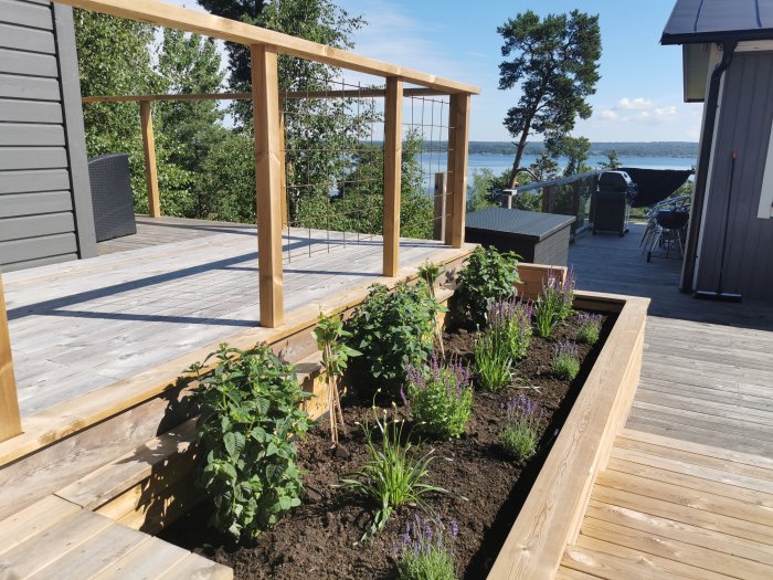 En nyplanterad blomlåda med diverse blommor på en terrass med utsikt över havet och soligt väder.