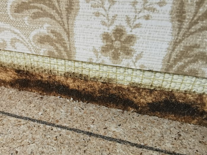 Möjlig svartmögel längst ner på masonitvägg bakom äldre tapet i ett renoveringsprojekt.