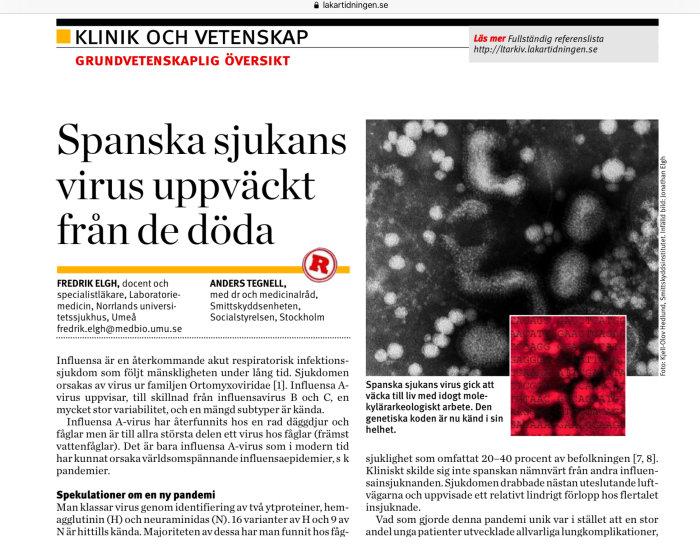 Utsnitt av en artikel med titeln "Spanska sjukans virus uppväckt från de döda", författare och text, samt mikroskopbild av virus.