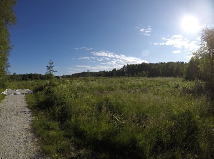 Tomt i Sundsvall med gräs och träd under en klarblå himmel och solen skiner.