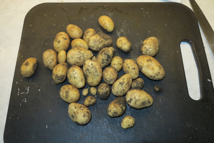 Nyupptagen potatis i olika storlekar på en skärbräda.