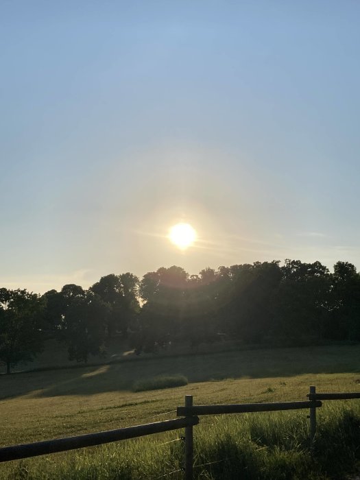 Solnedgång över en äng med träd i bakgrunden och ett trästaket i förgrunden.