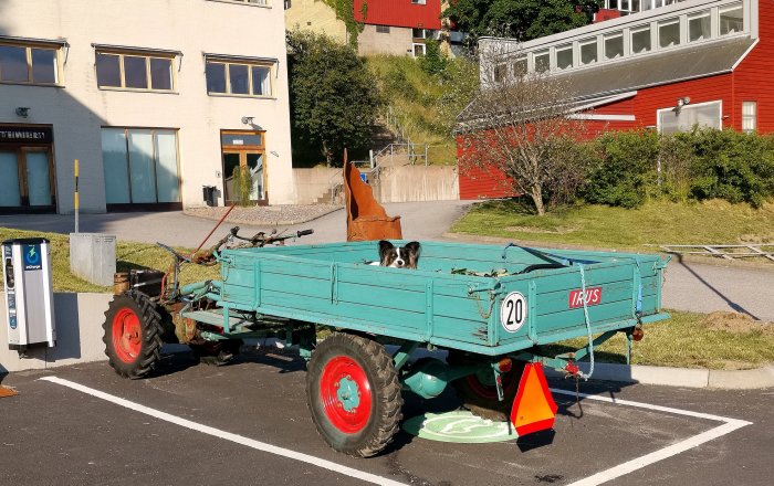 Gammaldags blå traktor med träflak parkerad, hund tittar över kanten, märkt "IKARUS" och hastighetsskylt "20".