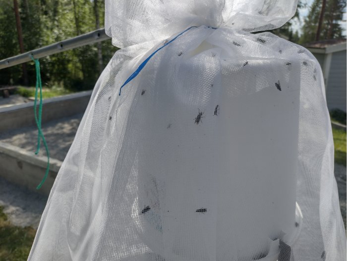 Hemmagjord bromsfälla med myggnät fastbundet över hoppboll med flera bromsar insida.