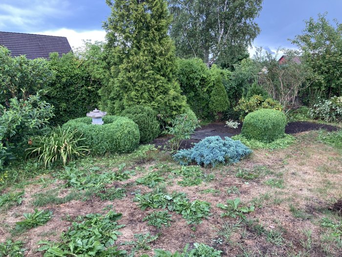 Nyklippta buskar i en trädgård med en nyligen upptäckt gång och stenläggning, ger intryck av en påkostad trädgård.