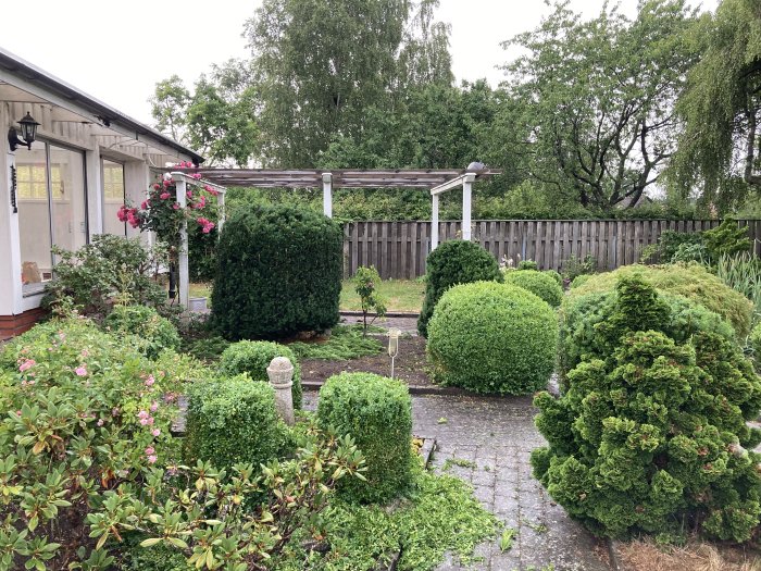 Nyklippta buskar och framträdande stenläggning i en välplanerad trädgård med pergola.