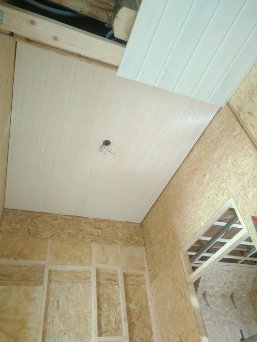 Innertak med vita spikade paneler i olika höjder i ett pågående byggprojekt med OSB-skivor på väggarna.