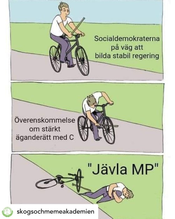 Tredelad serieteckning där person cyklar, faller och skyller på MP med politiska texter.