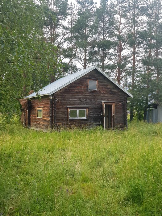 Oinredd timmerstuga på plintar i grönskande miljö, 6,5x6,5 meter med 2 rum och sovloft.