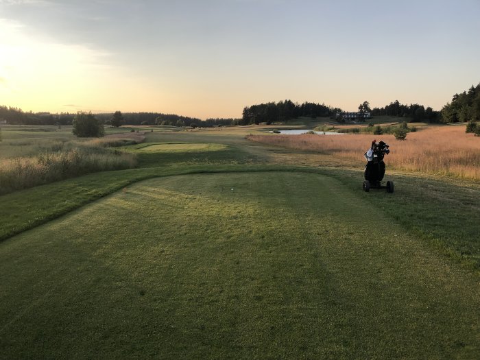 En gyllene solnedgång över en golfbana med grönt gräs, sandbunkrar och en golfvagn till höger.